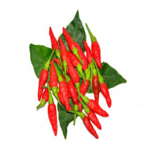 Red bird eye chilli (Dried Kanthari)