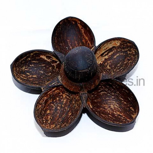 Coconut Shell 5 in 1 Tray